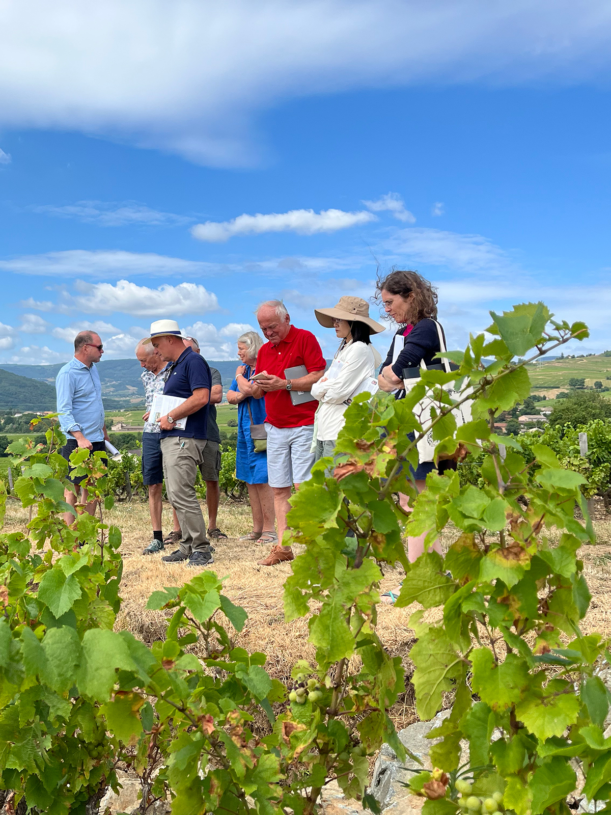 Signature de la charte des Géopartenaires du Géoparc Beaujolais
