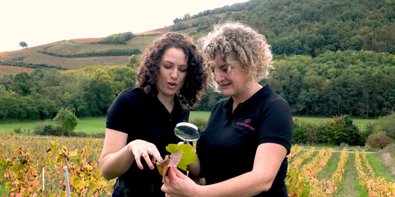 Les épicurieuses
