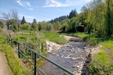 De Tarare à Joux, sur les traces de la Turdine