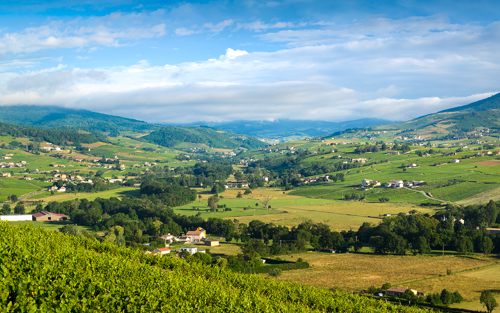 Paysage emblématique du Géoparc Beaujolais