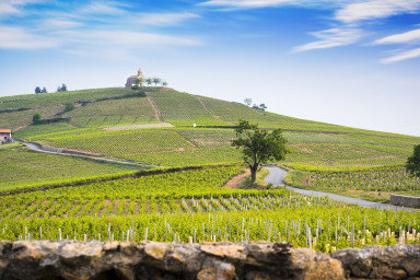 Balade entre vignobles, villages de caractère et géologie